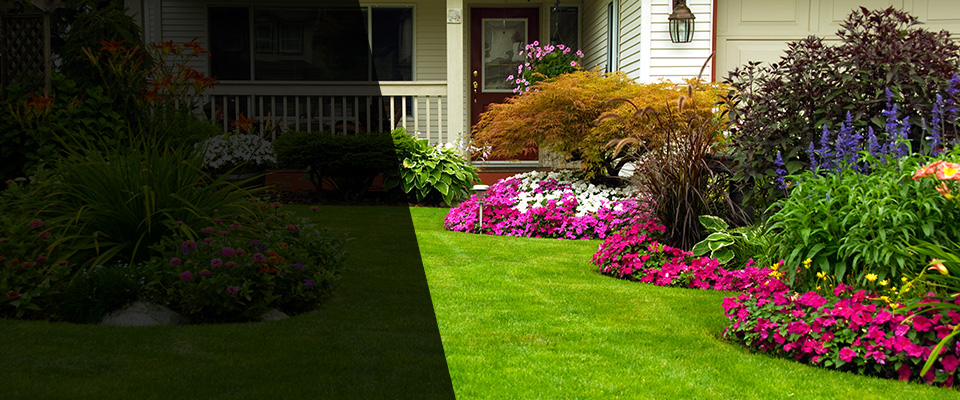 Young Harris Landscapers